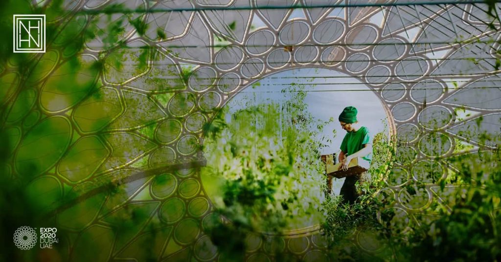 Food, Agriculture & Livelihoods: Pushing the limitation of Agriculture at Dubai Expo 2020