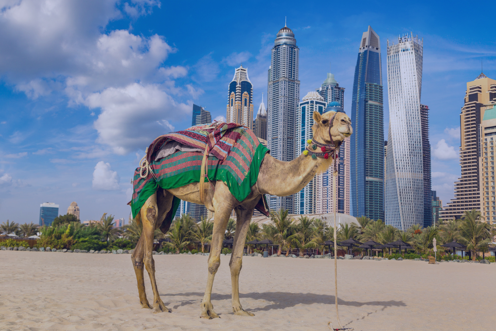 Why Open a Travel and Tourism Company in Dubai